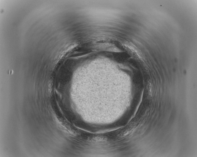 X0000088830546200706281758