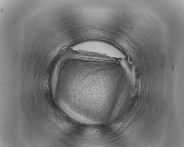 X0000088830547200706281758