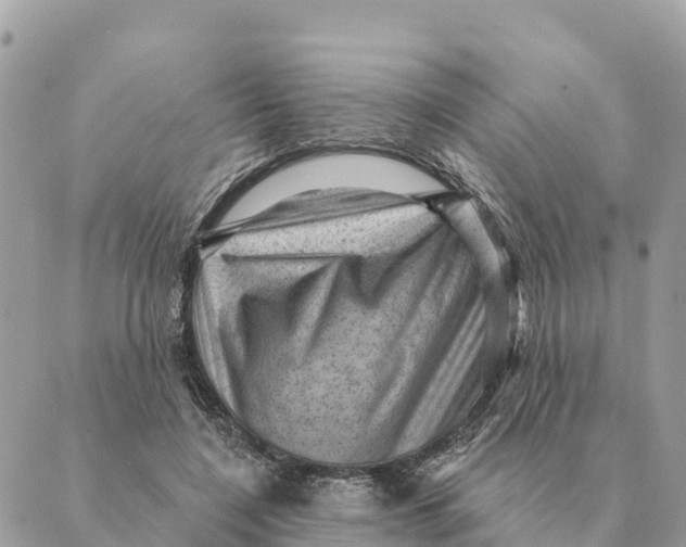 X0000088830548200706281758