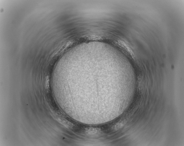 X0000088830549200706281758