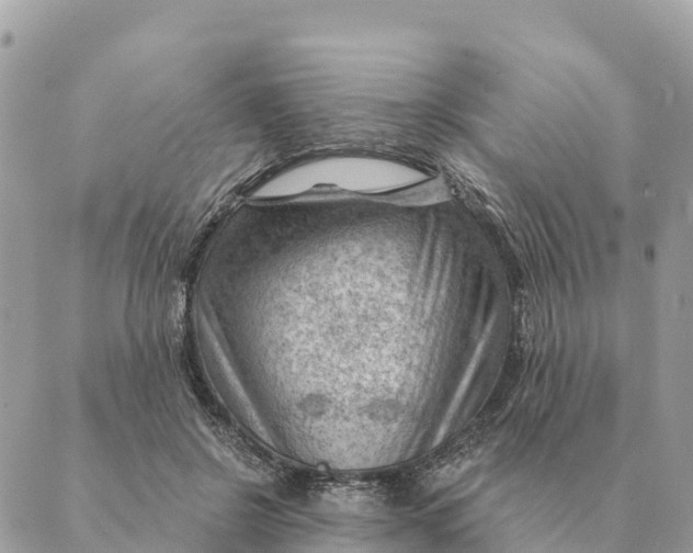 X0000088830550200706281758