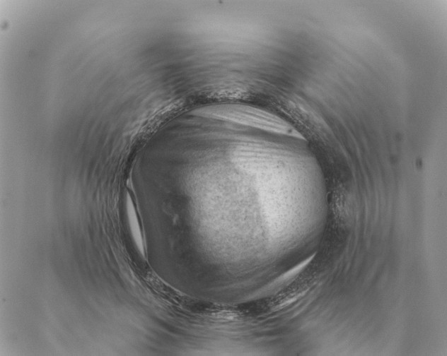 X0000088830551200706281758