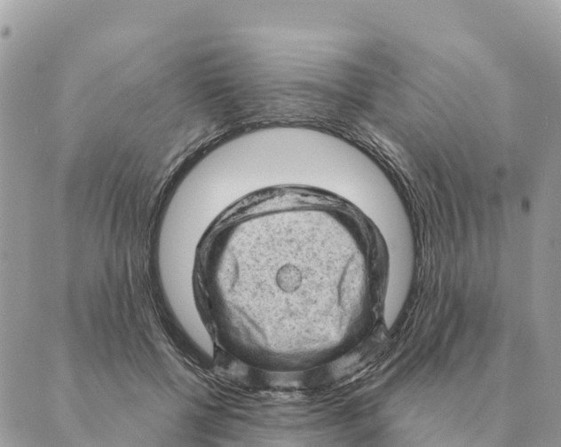 X0000088830552200706281758