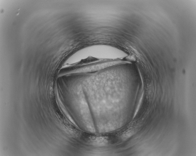 X0000088830553200706281758