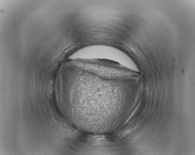 X0000088830554200706281758