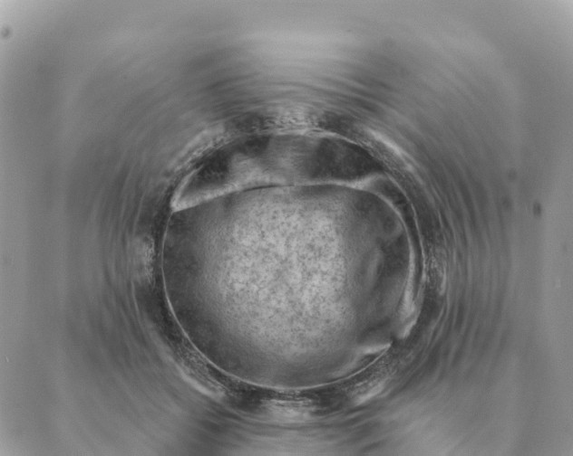 X0000088830556200706281758