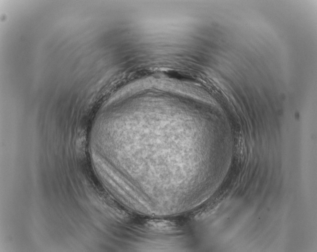 X0000088830557200706281758