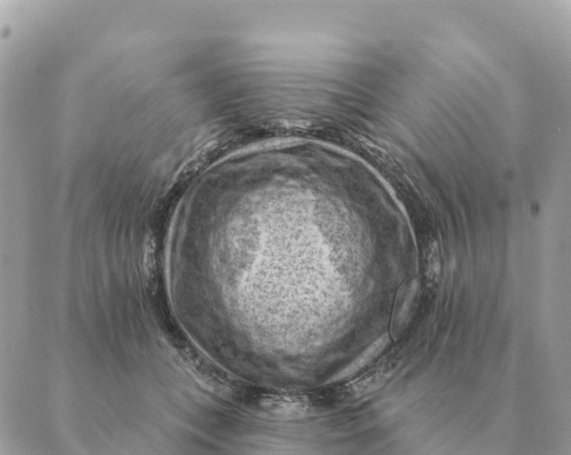 X0000088830559200706281759