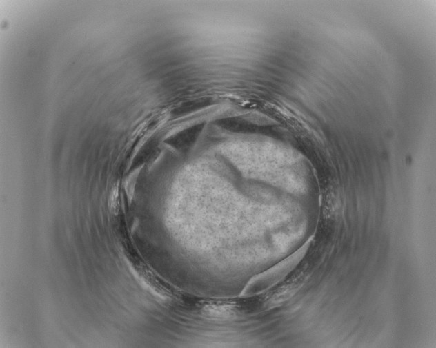 X0000088830560200706281759