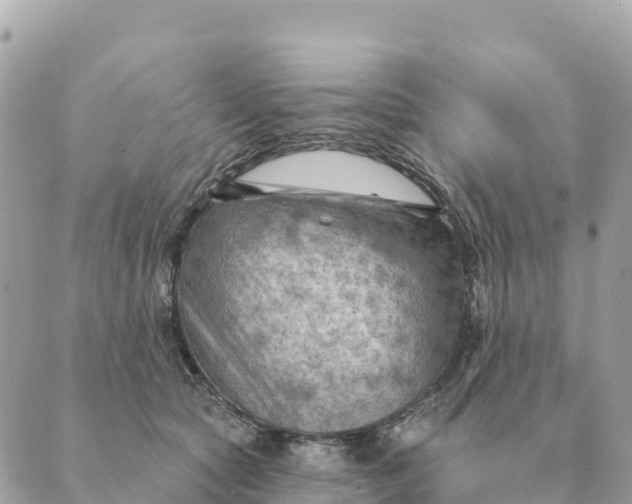 X0000088830561200706281759