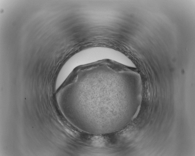 X0000088830562200706281759