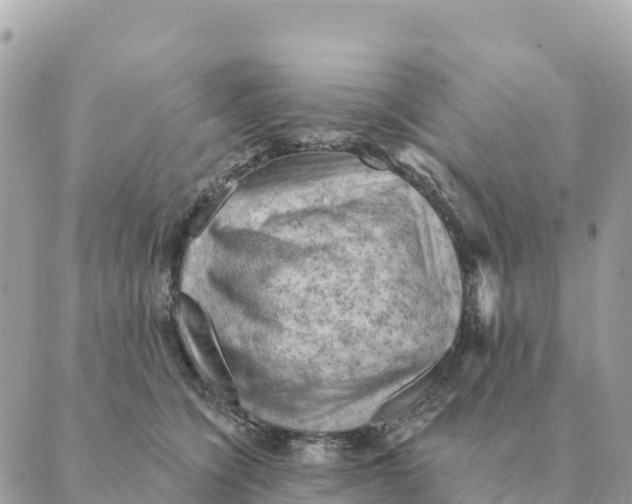 X0000088830564200706281759