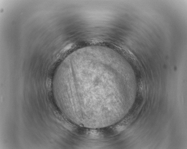 X0000088830565200706281759