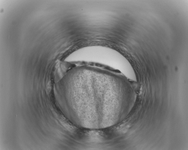 X0000088830566200706281759