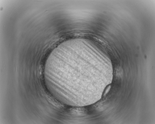 X0000088830567200706281759