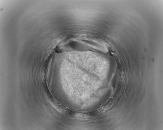 X0000088830568200706281759