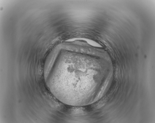 X0000088830569200706281759