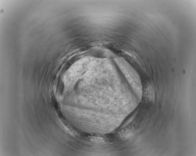 X0000088830572200706281759