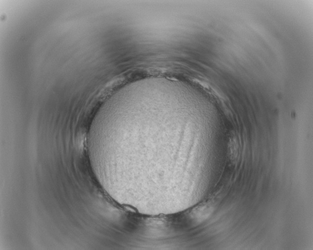 X0000088830574200706281759