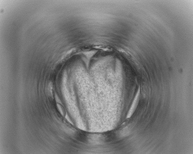 X0000088830575200706281759