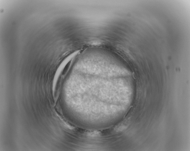 X0000088830576200706281759