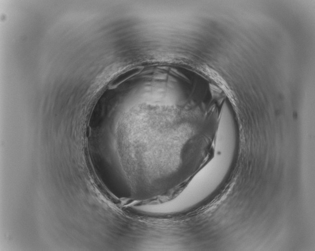 X0000088830577200706281758