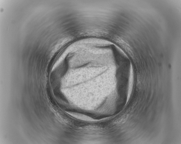 X0000088830578200706281758