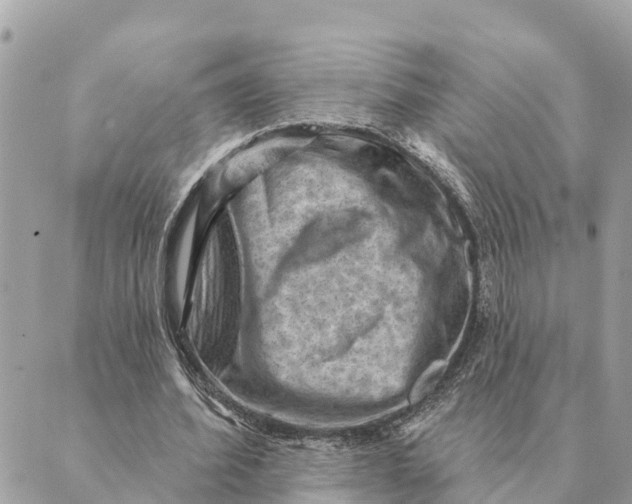 X0000088830580200706281758