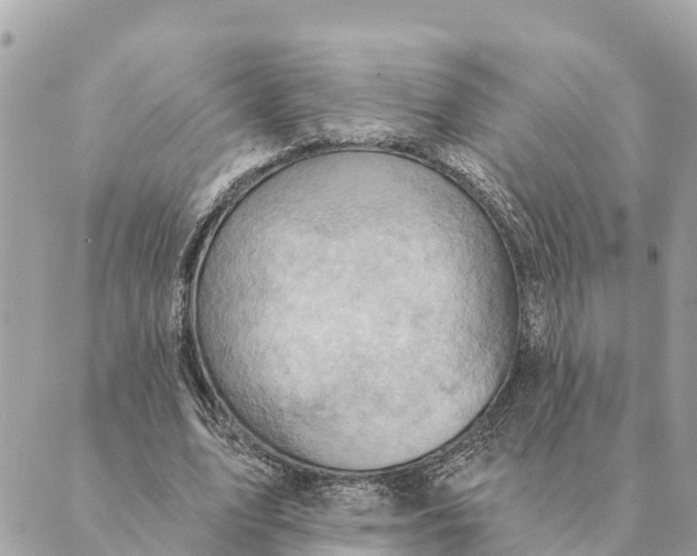 X0000088830583200706281758