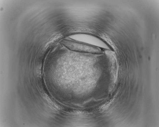 X0000088830585200706281758