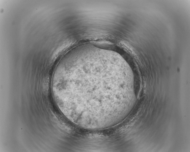 X0000088830586200706281758