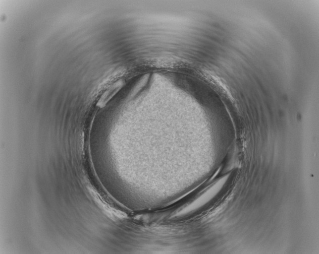 X0000088830589200706281758