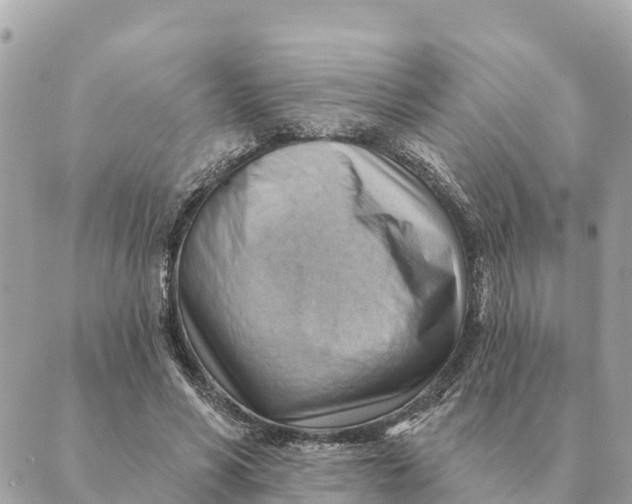 X0000088830590200706281758