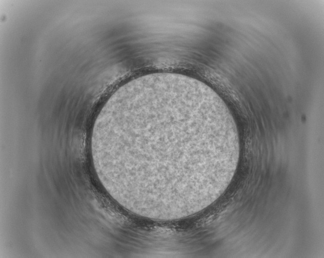 X0000088830592200706281758