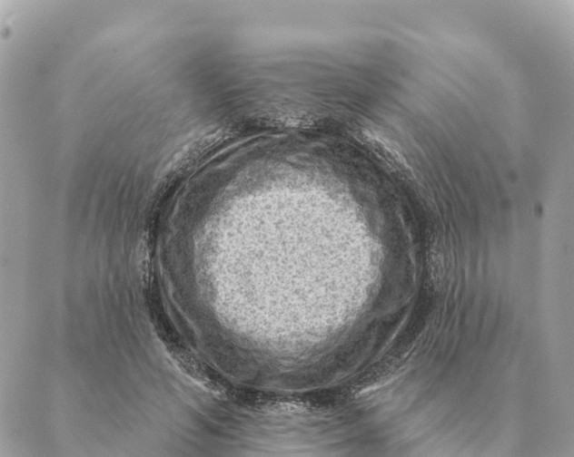 X0000088830594200706281758