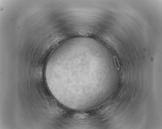 X0000088830595200706281758