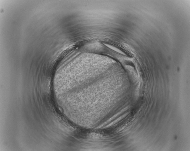 X0000088830596200706281758