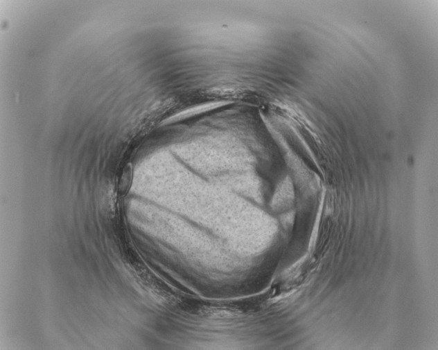 X0000088830597200706281758