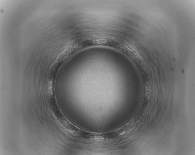 X0000088830598200706281758