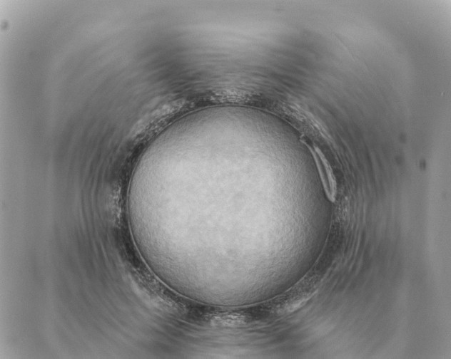 X0000088830599200706281758