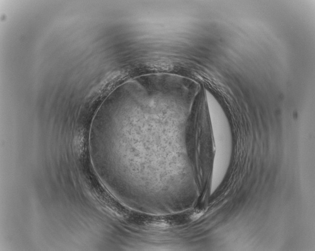 X0000088830600200706281758