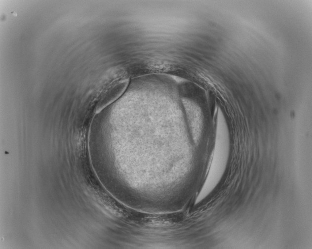 X0000088830601200706281758