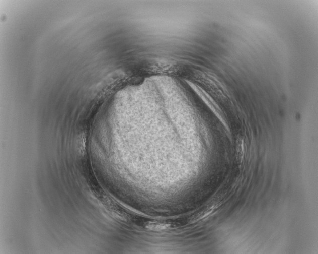 X0000088830602200706281758