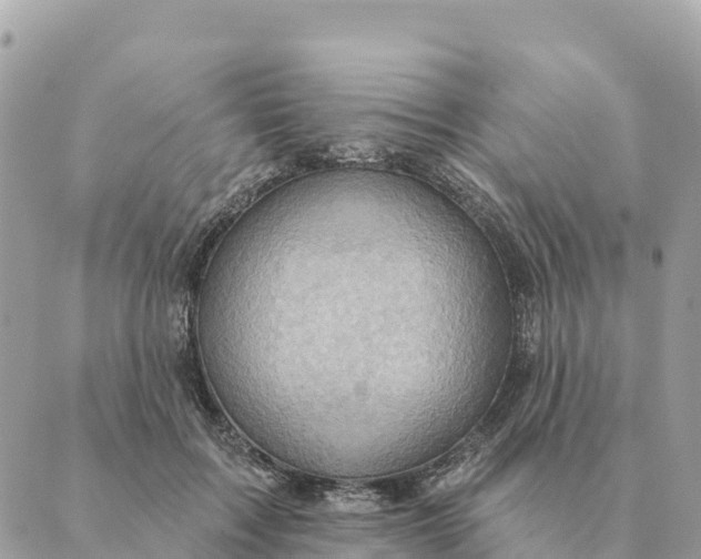 X0000088830603200706281758