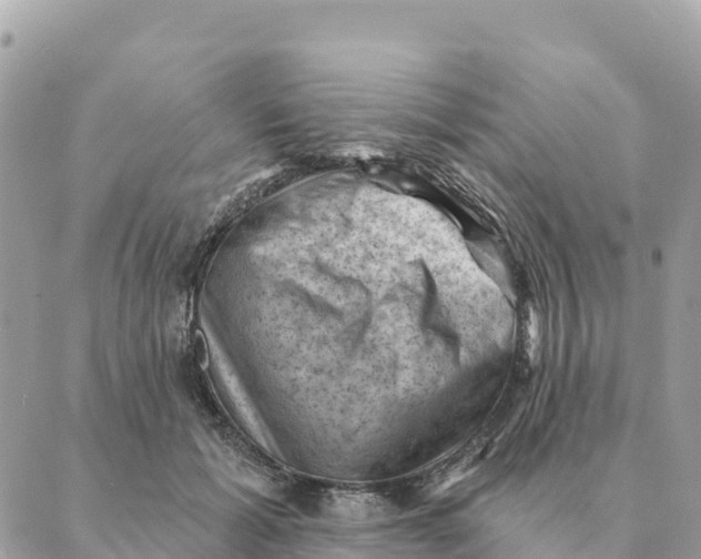 X0000088830605200706281758