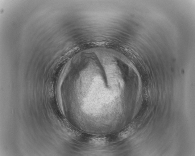 X0000088830606200706281758