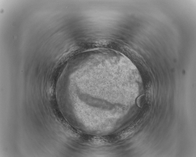 X0000088830608200706281757