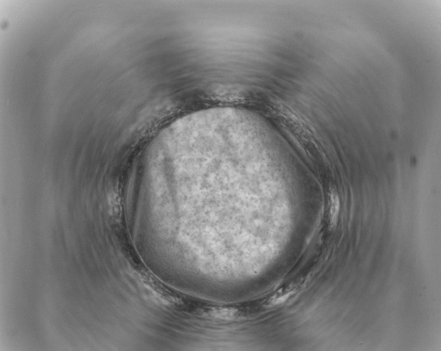 X0000088830609200706281757