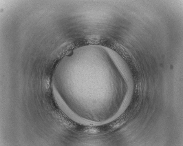 X0000088830610200706281757