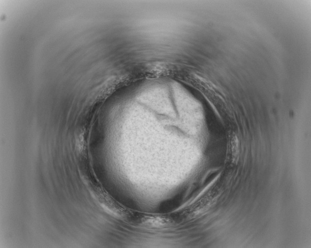 X0000088830611200706281757